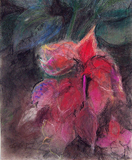 Coleus