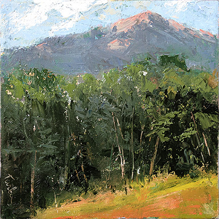 Far Reach Above the Forest, Mount Monadnock, Jaffrey NH