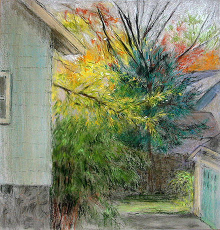 Backyards, Early November